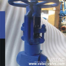 Hochdruckkraftwerk Globe Valve (J41)